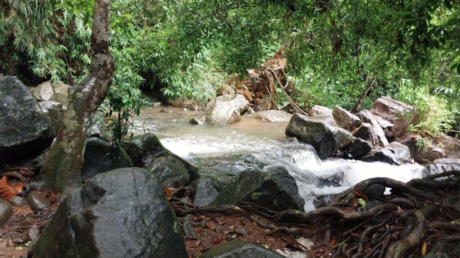 Salmanel Resort Ratnapura Eksteriør billede